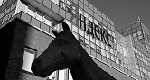Акции Яндекса выросли на 6 % на фоне отчета за II квартал
